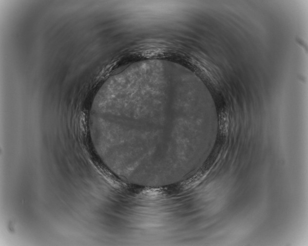 X0000094790280200712071235