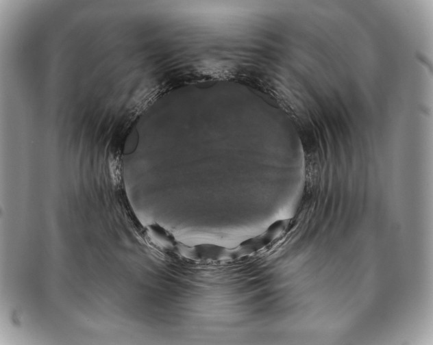 X0000094790285200712071235