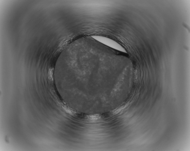 X0000094790286200712071235