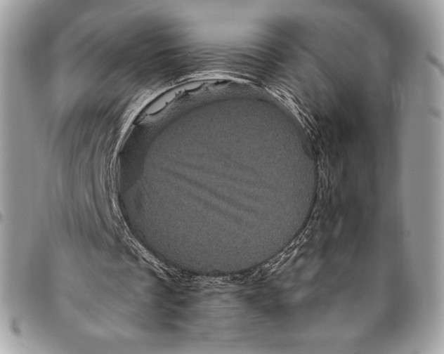 X0000094790289200712071234