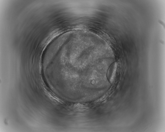 X0000094790290200712071234