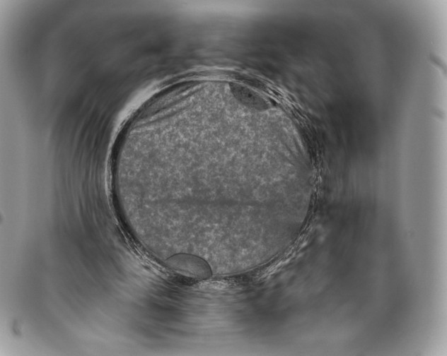 X0000094790294200712071234