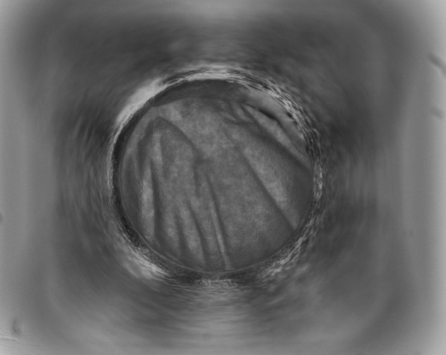 X0000094790296200712071234