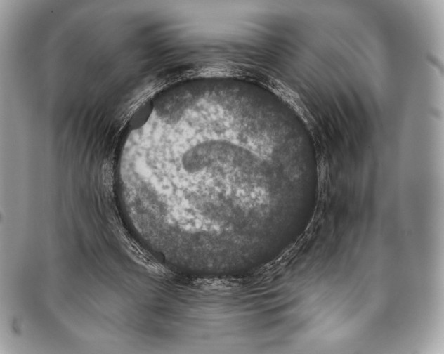 X0000094790297200712071234