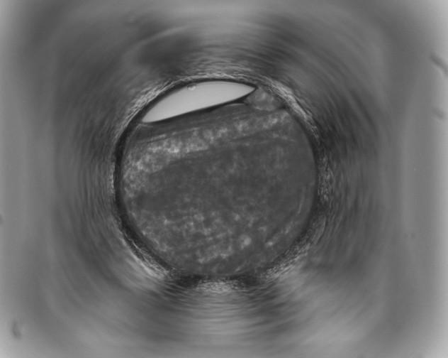 X0000094790299200712071234