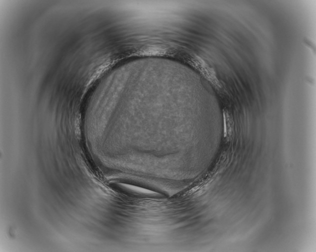 X0000094790300200712071234