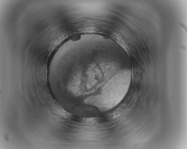 X0000094790301200712071234