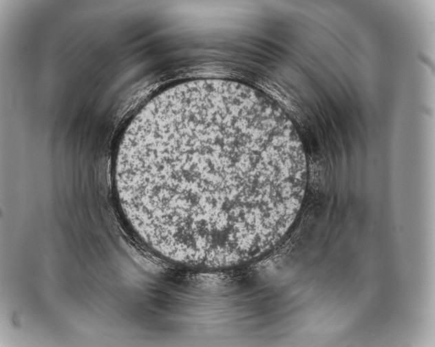 X0000094790302200712071234