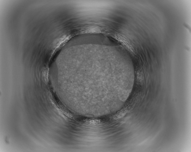 X0000094790304200712071234