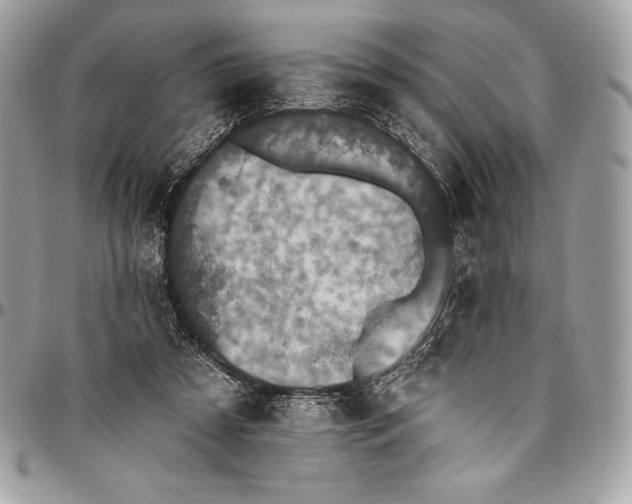 X0000094790305200712071234