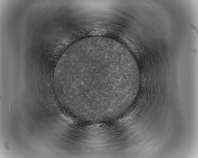 X0000094790307200712071234