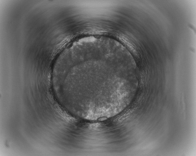 X0000094790309200712071234