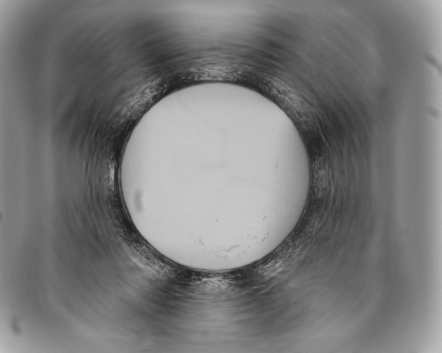 X0000094790310200712071234