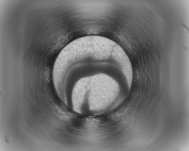 X0000094790311200712071234