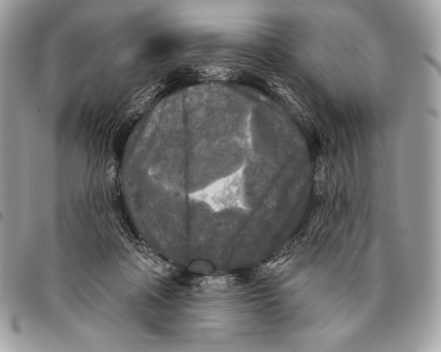 X0000094790314200712071234