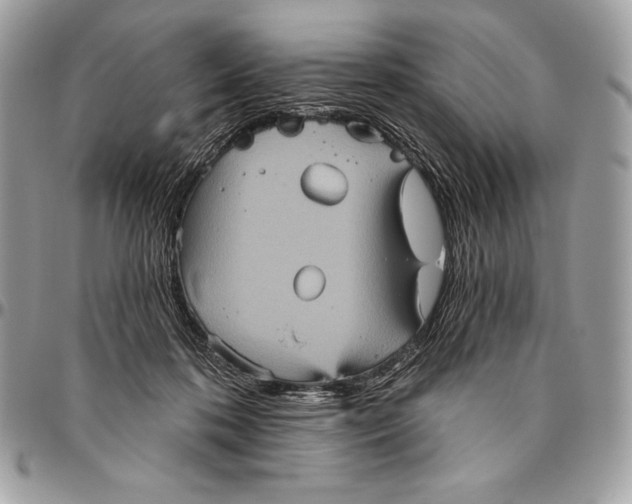 X0000094790316200712071234