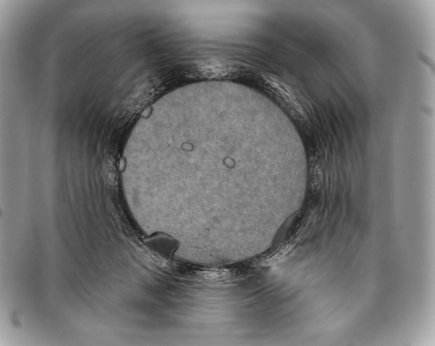 X0000094790317200712071234