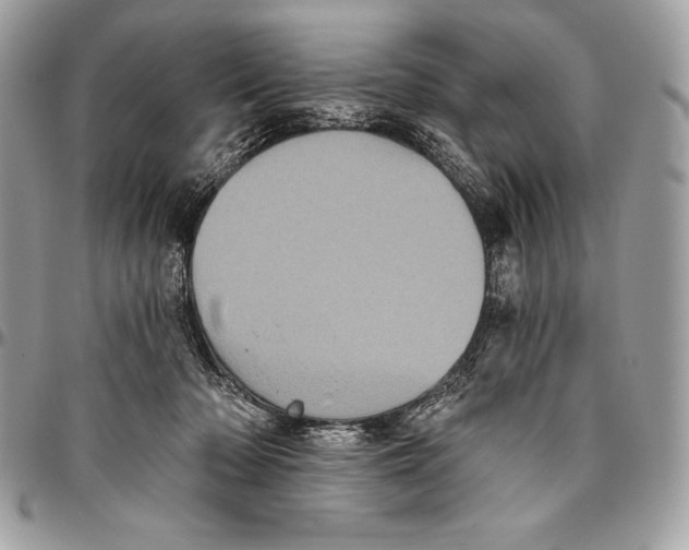 X0000094790318200712071234