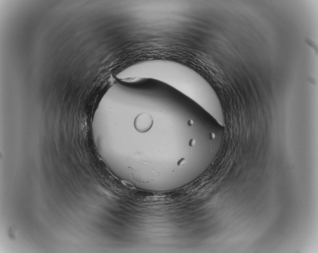 X0000094790320200712071234