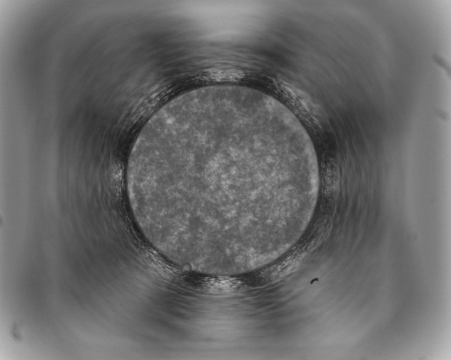 X0000094790321200712071234