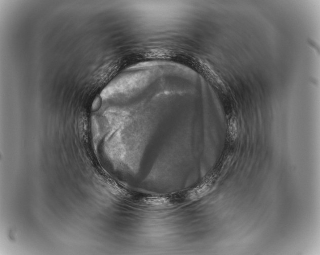 X0000094790322200712071234