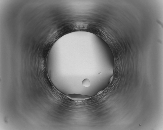 X0000094790323200712071234