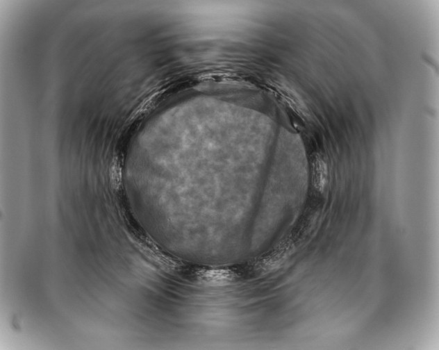 X0000094790324200712071234