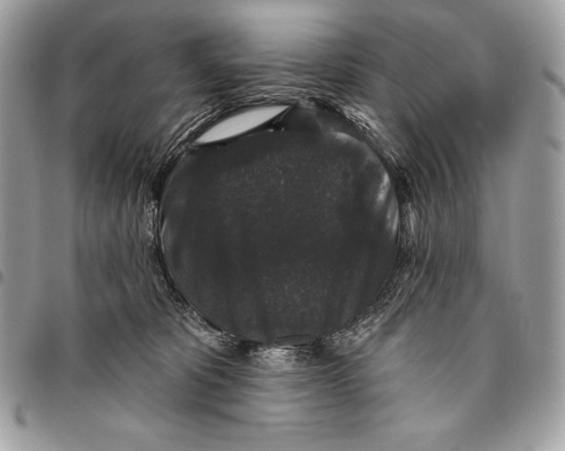 X0000094790325200712071234