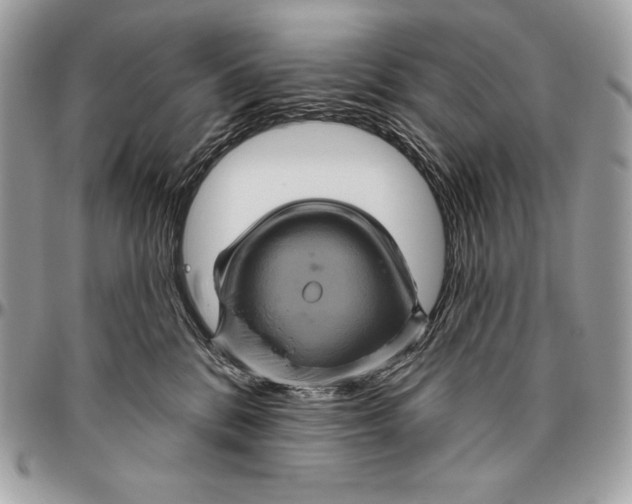 X0000094790328200712071234