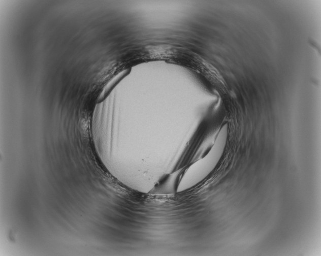 X0000094790329200712071234