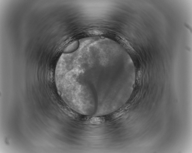 X0000094790330200712071234