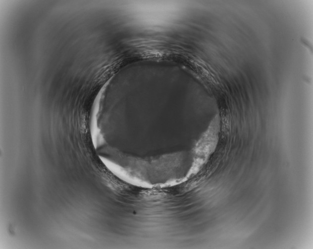 X0000094790331200712071234