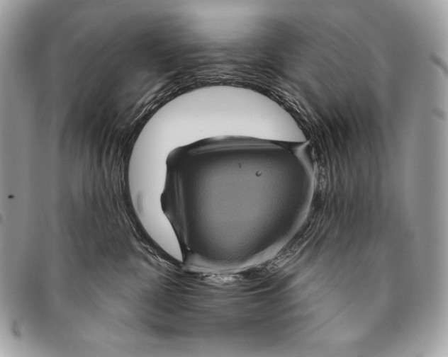 X0000094790332200712071234