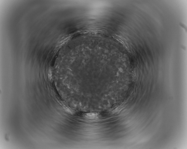 X0000094790335200712071234