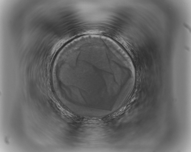 X0000094790337200712071233