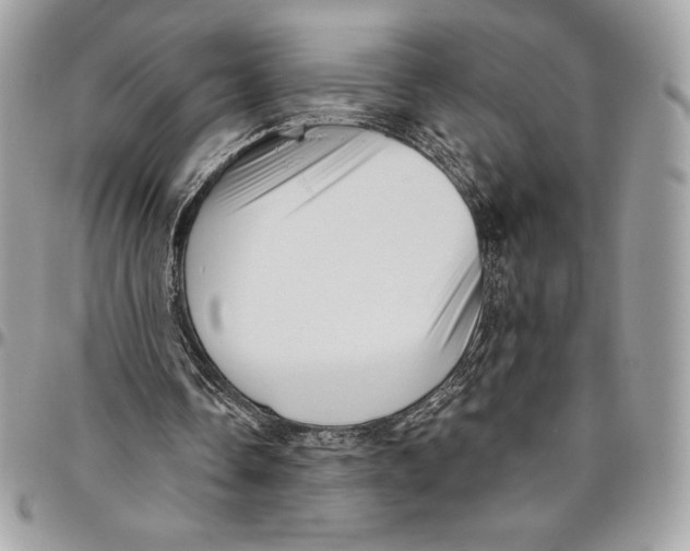 X0000094790338200712071233