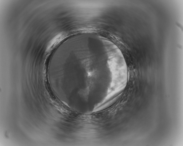 X0000094790339200712071233