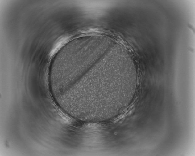 X0000094790341200712071233