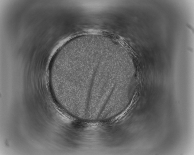 X0000094790342200712071233