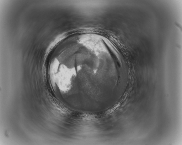 X0000094790343200712071233