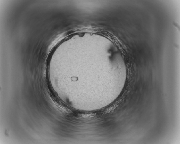 X0000094790344200712071233