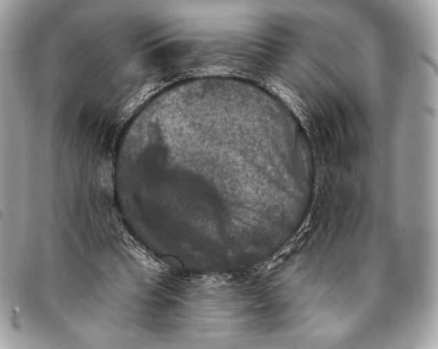 X0000094790345200712071233