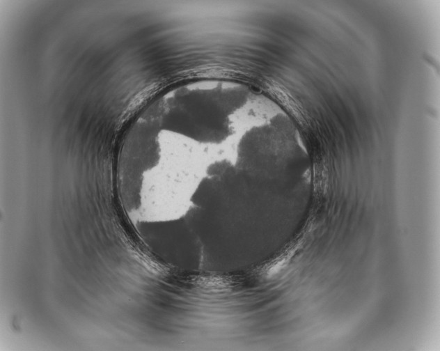 X0000094790349200712071233