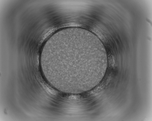 X0000094790350200712071233