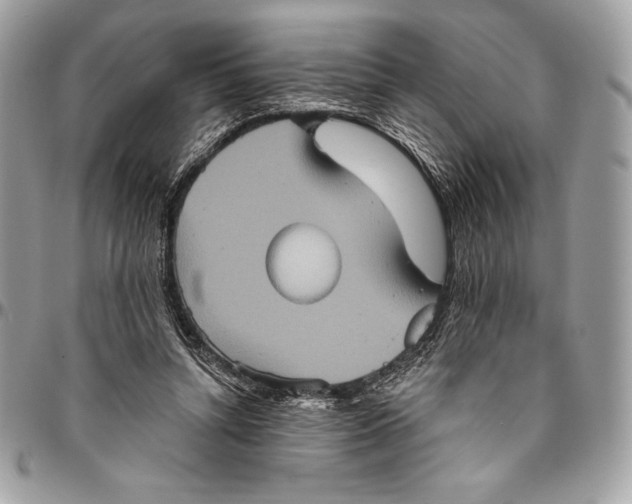 X0000094790352200712071233