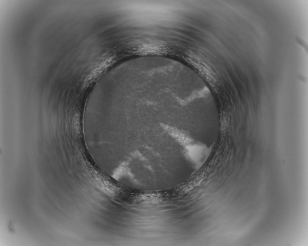 X0000094790353200712071233