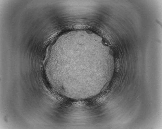 X0000094790356200712071233