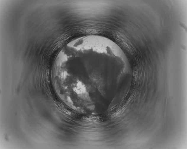 X0000094790359200712071233