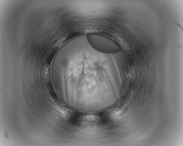 X0000094790360200712071233