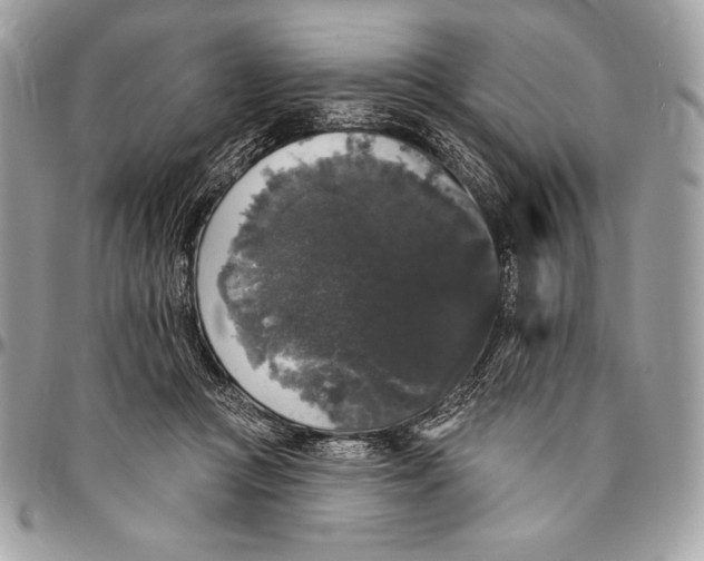 X0000094790361200712071233